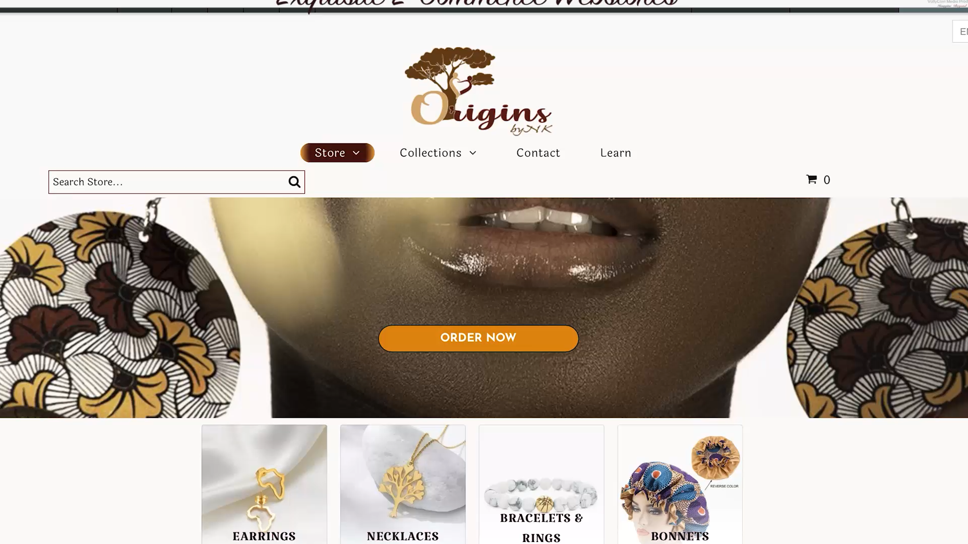 Website design